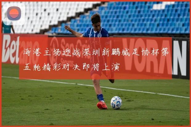 海港主场迎战深圳新鹏城足协杯第五轮精彩对决即将上演