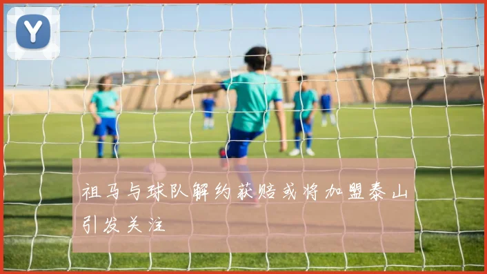 祖马与球队解约获赔或将加盟泰山引发关注