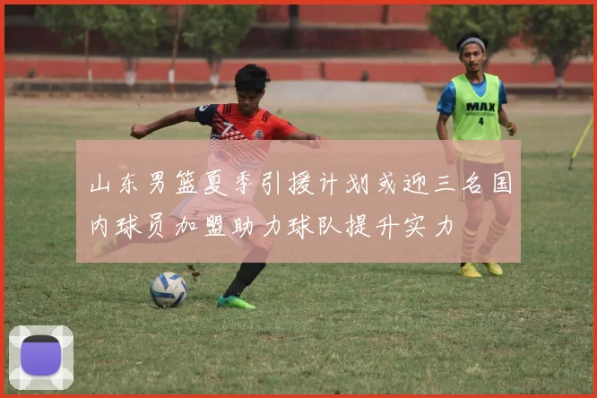 山东男篮夏季引援计划或迎三名国内球员加盟助力球队提升实力